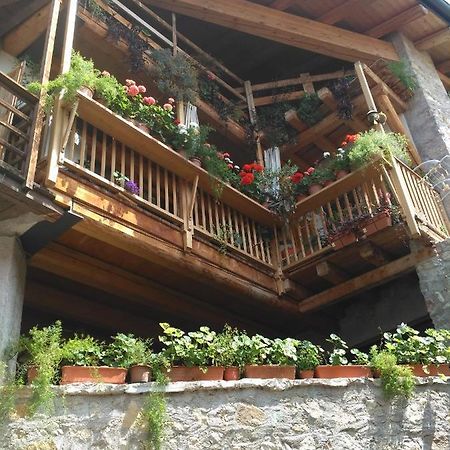 مبيت وإفطار موري La Cort Di Nonna Rosa المظهر الخارجي الصورة