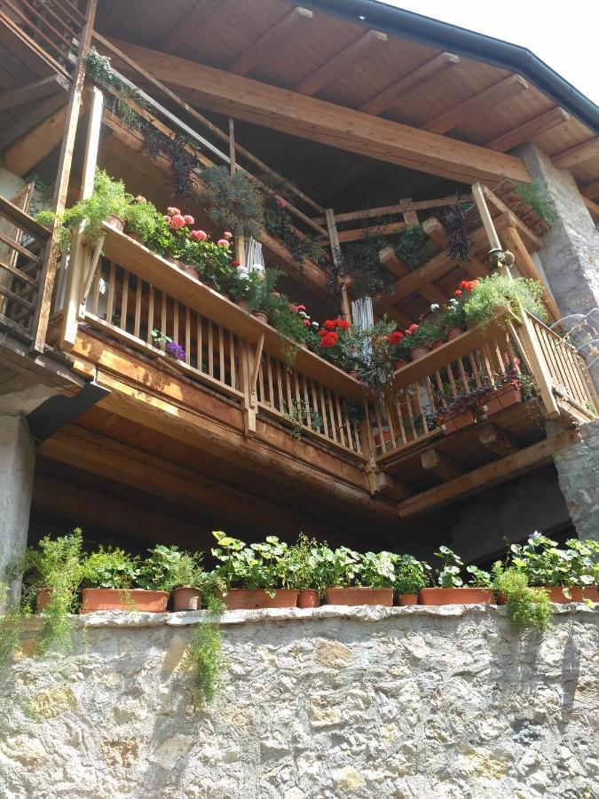 مبيت وإفطار موري La Cort Di Nonna Rosa المظهر الخارجي الصورة